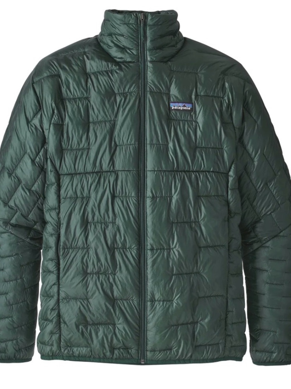 Patagonia Men’s Micro Puff Quilted Jacket - Med